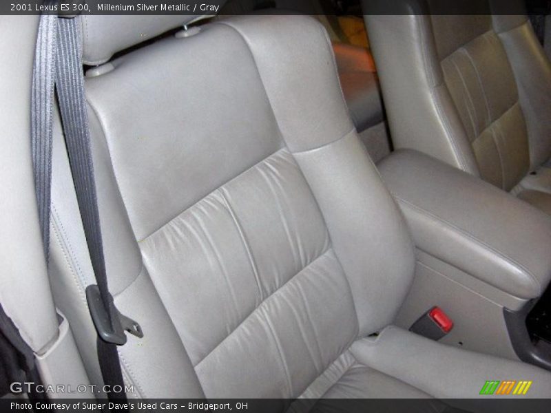 Millenium Silver Metallic / Gray 2001 Lexus ES 300