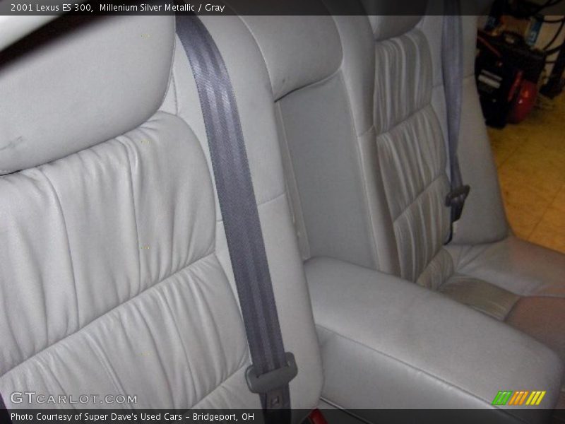 Millenium Silver Metallic / Gray 2001 Lexus ES 300