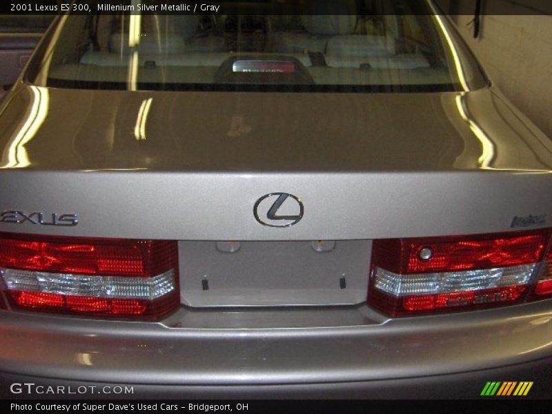 Millenium Silver Metallic / Gray 2001 Lexus ES 300