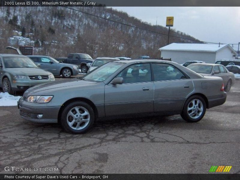 Millenium Silver Metallic / Gray 2001 Lexus ES 300