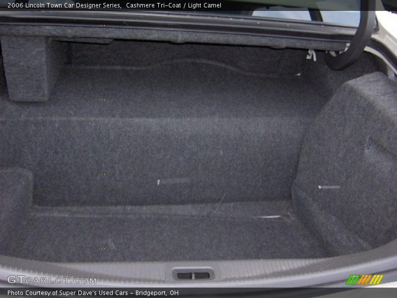 Cashmere Tri-Coat / Light Camel 2006 Lincoln Town Car Designer Series