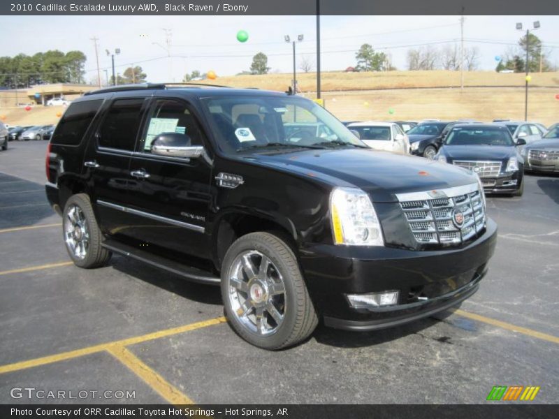 Black Raven / Ebony 2010 Cadillac Escalade Luxury AWD