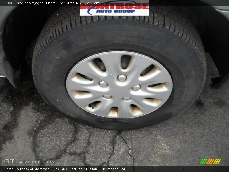 Bright Silver Metallic / Silver Fern 2000 Chrysler Voyager