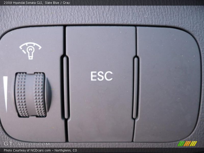 Slate Blue / Gray 2009 Hyundai Sonata GLS