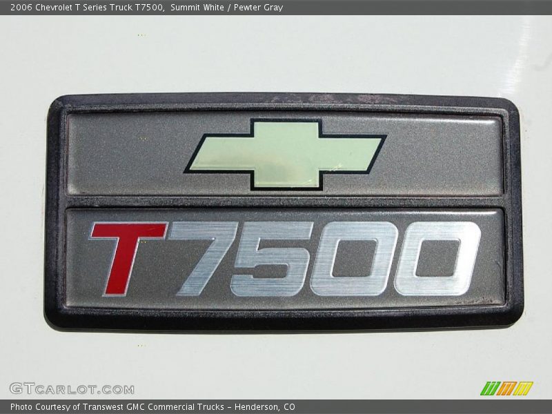 Summit White / Pewter Gray 2006 Chevrolet T Series Truck T7500