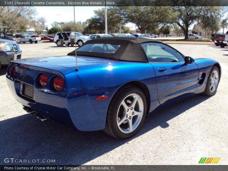 Electron Blue Metallic / Black 2003 Chevrolet Corvette Convertible