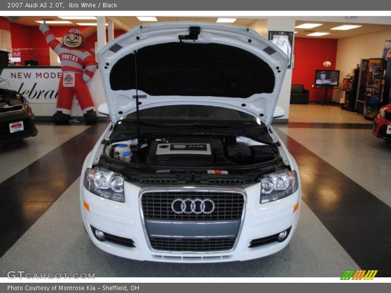 Ibis White / Black 2007 Audi A3 2.0T
