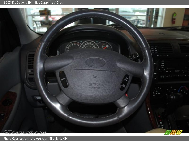 Blue Sapphire / Gray 2003 Kia Sedona EX