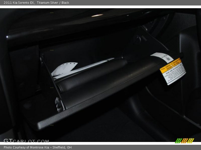 Titanium Silver / Black 2011 Kia Sorento EX