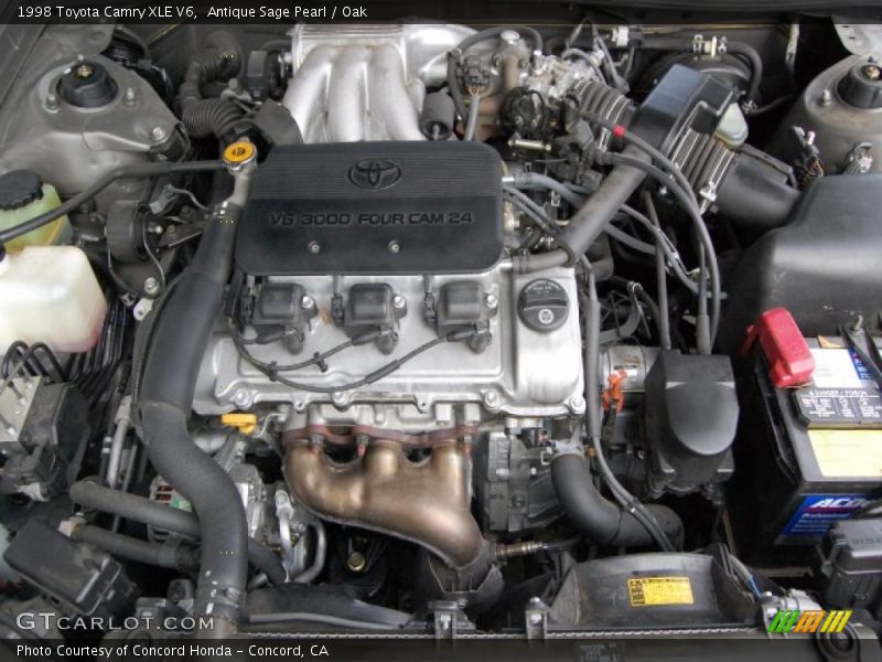 Antique Sage Pearl / Oak 1998 Toyota Camry XLE V6
