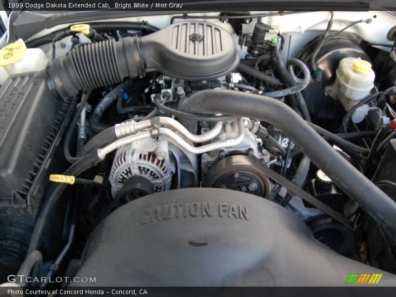 Bright White / Mist Gray 1999 Dodge Dakota Extended Cab
