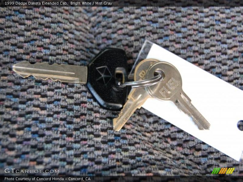 Bright White / Mist Gray 1999 Dodge Dakota Extended Cab