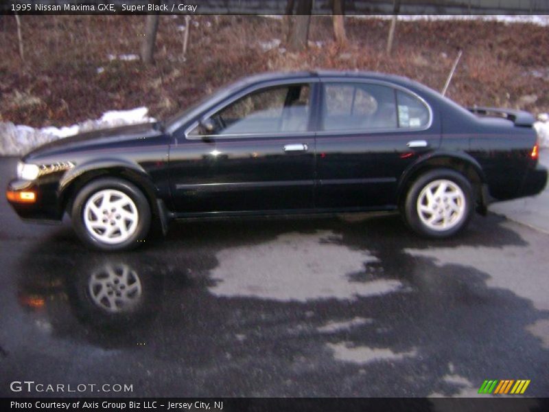 Super Black / Gray 1995 Nissan Maxima GXE