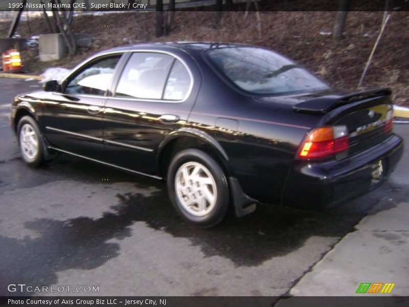 Super Black / Gray 1995 Nissan Maxima GXE