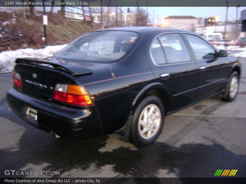 Super Black / Gray 1995 Nissan Maxima GXE