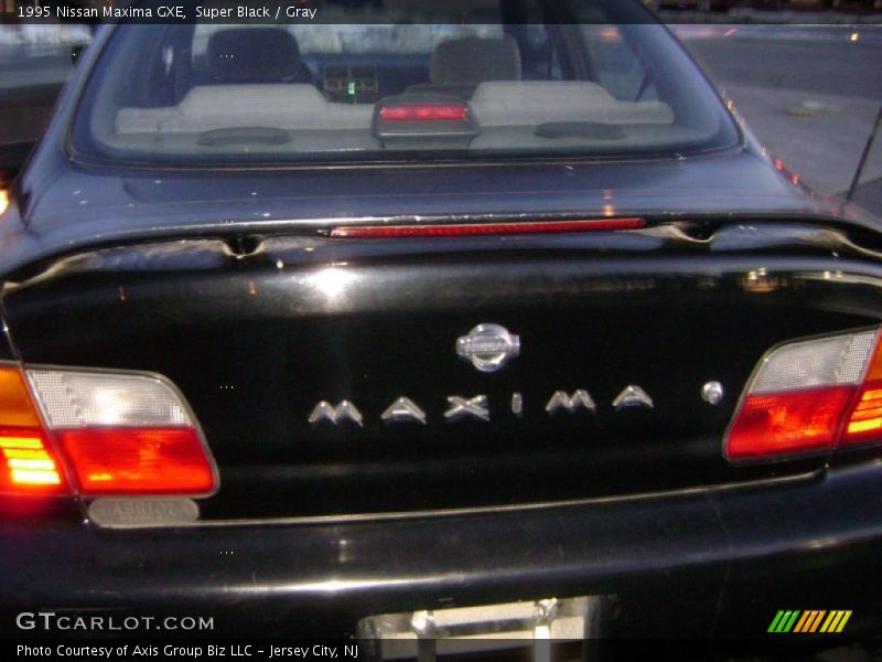 Super Black / Gray 1995 Nissan Maxima GXE