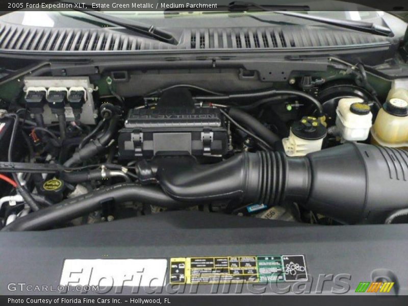 Estate Green Metallic / Medium Parchment 2005 Ford Expedition XLT