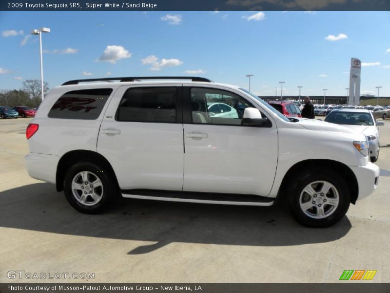 Super White / Sand Beige 2009 Toyota Sequoia SR5
