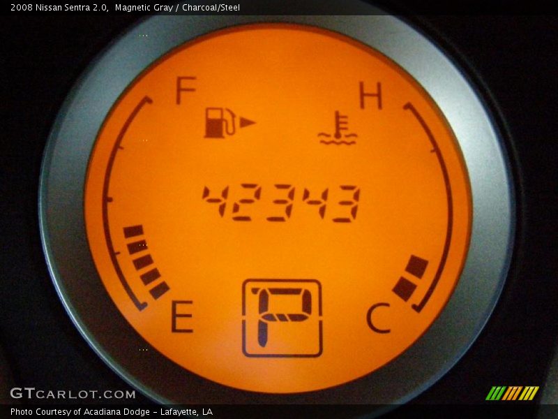 Magnetic Gray / Charcoal/Steel 2008 Nissan Sentra 2.0