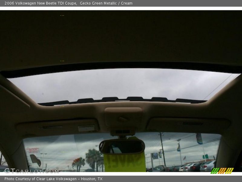 Gecko Green Metallic / Cream 2006 Volkswagen New Beetle TDI Coupe