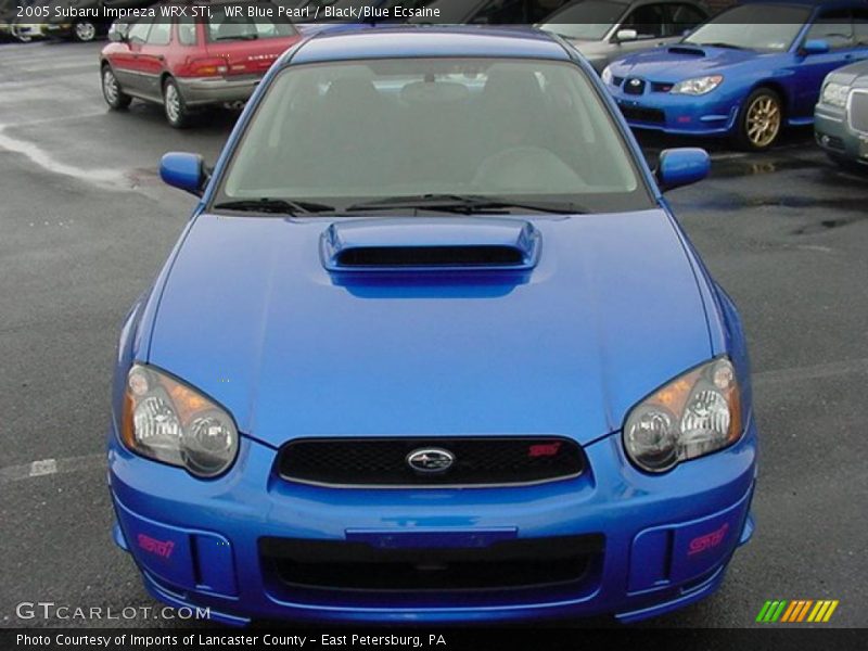 WR Blue Pearl / Black/Blue Ecsaine 2005 Subaru Impreza WRX STi