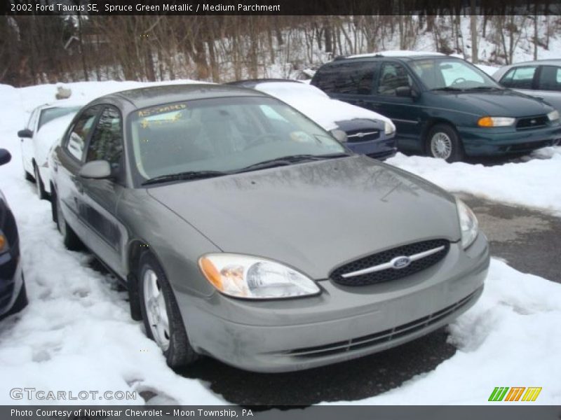 Spruce Green Metallic / Medium Parchment 2002 Ford Taurus SE