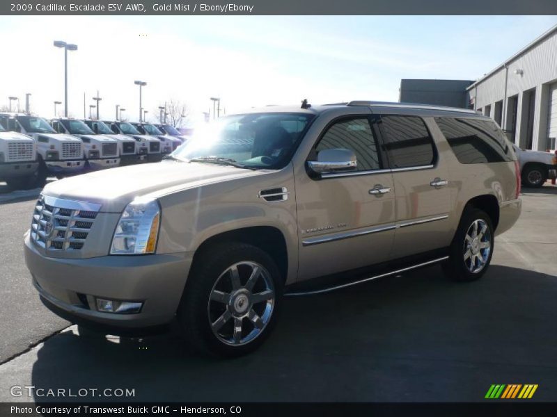 Gold Mist / Ebony/Ebony 2009 Cadillac Escalade ESV AWD