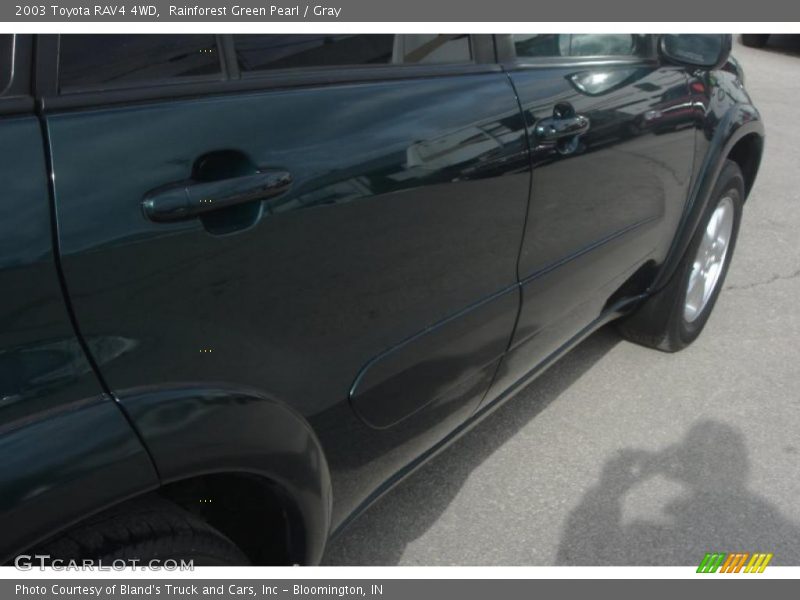 Rainforest Green Pearl / Gray 2003 Toyota RAV4 4WD