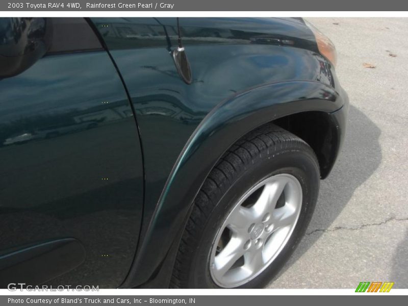 Rainforest Green Pearl / Gray 2003 Toyota RAV4 4WD