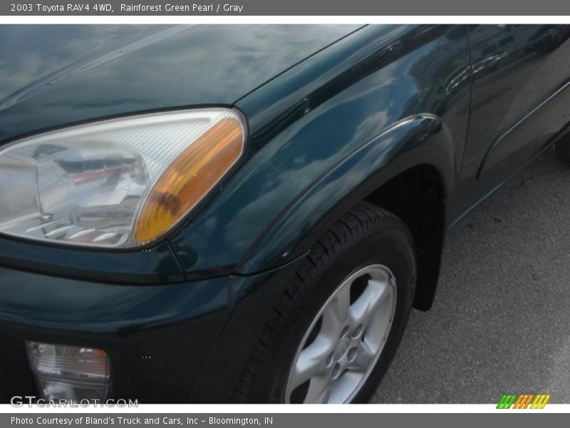 Rainforest Green Pearl / Gray 2003 Toyota RAV4 4WD