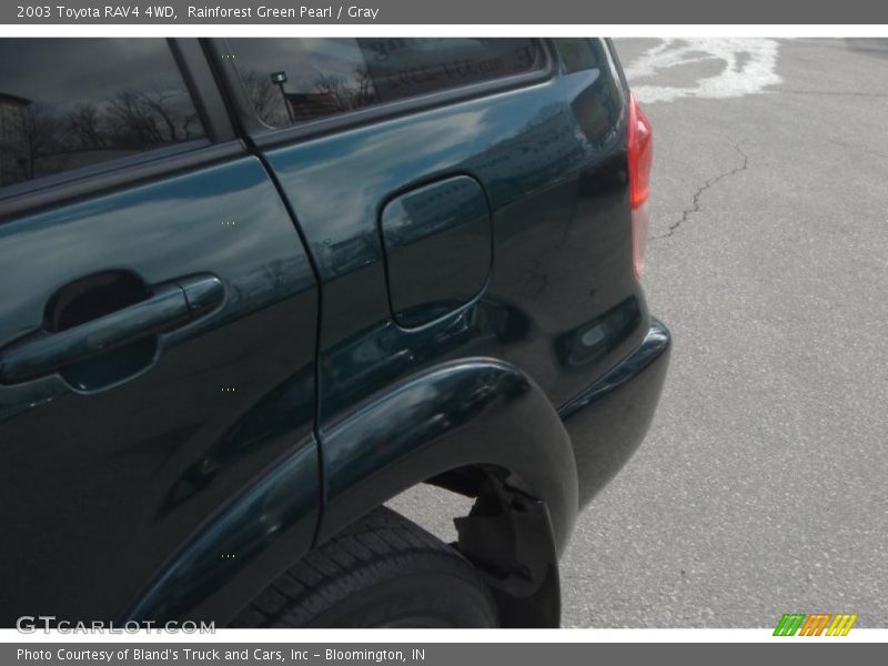 Rainforest Green Pearl / Gray 2003 Toyota RAV4 4WD