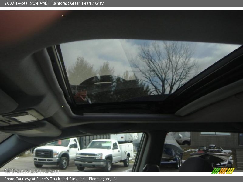 Rainforest Green Pearl / Gray 2003 Toyota RAV4 4WD