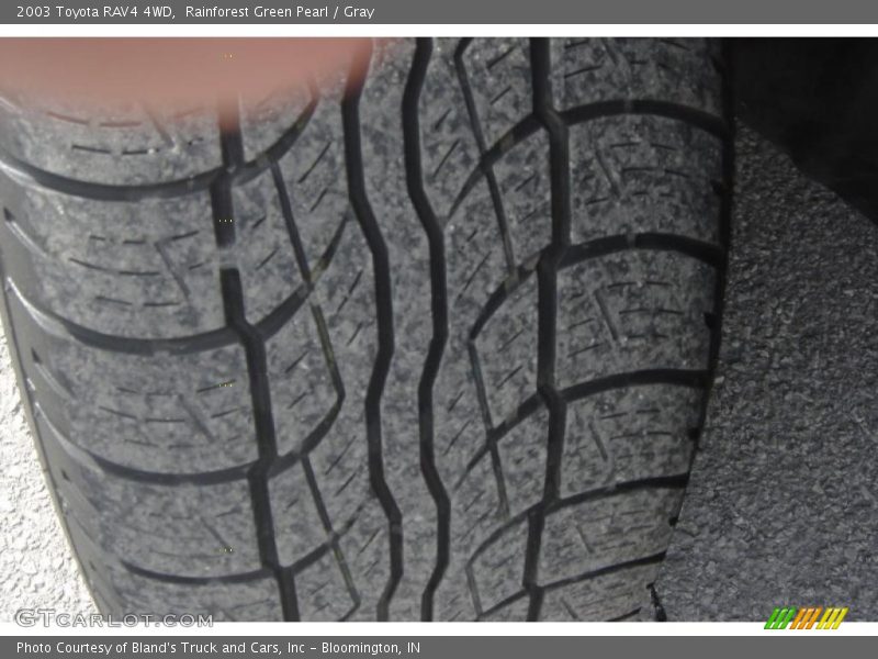 Rainforest Green Pearl / Gray 2003 Toyota RAV4 4WD