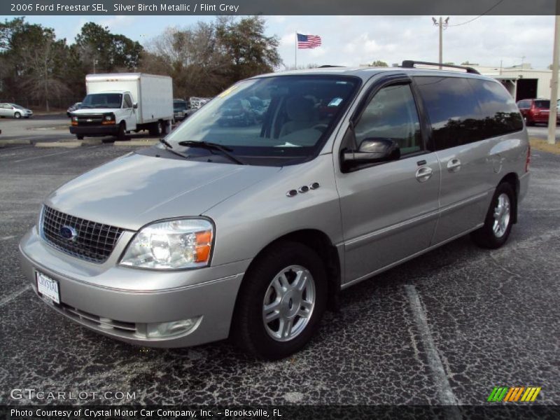 Silver Birch Metallic / Flint Grey 2006 Ford Freestar SEL