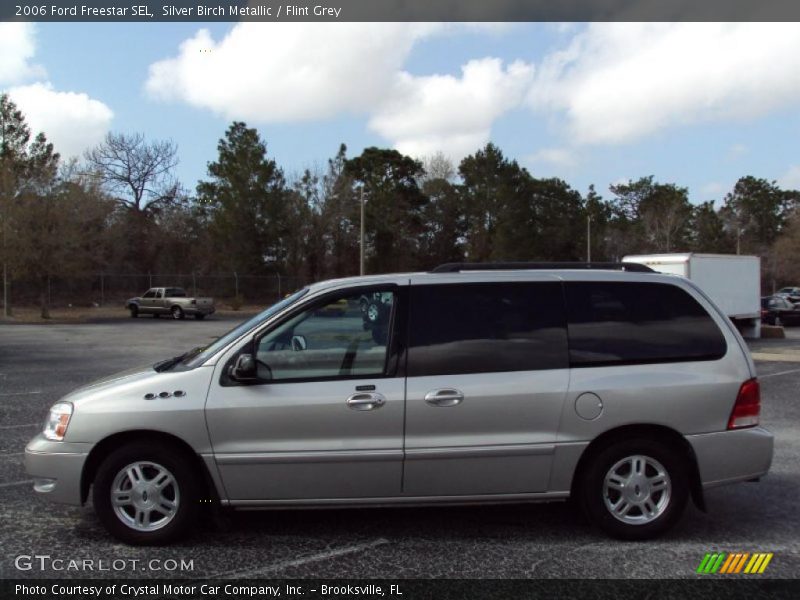 Silver Birch Metallic / Flint Grey 2006 Ford Freestar SEL