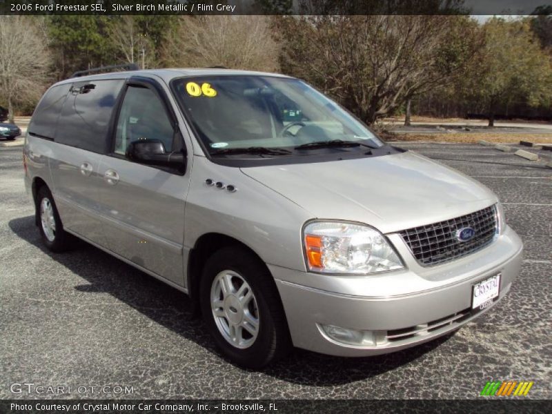 Silver Birch Metallic / Flint Grey 2006 Ford Freestar SEL