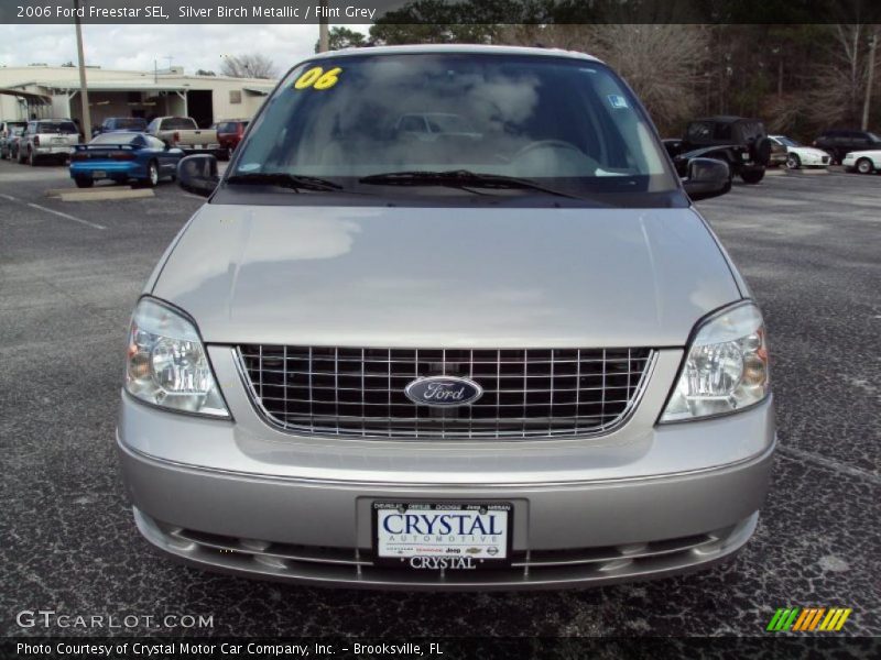 Silver Birch Metallic / Flint Grey 2006 Ford Freestar SEL