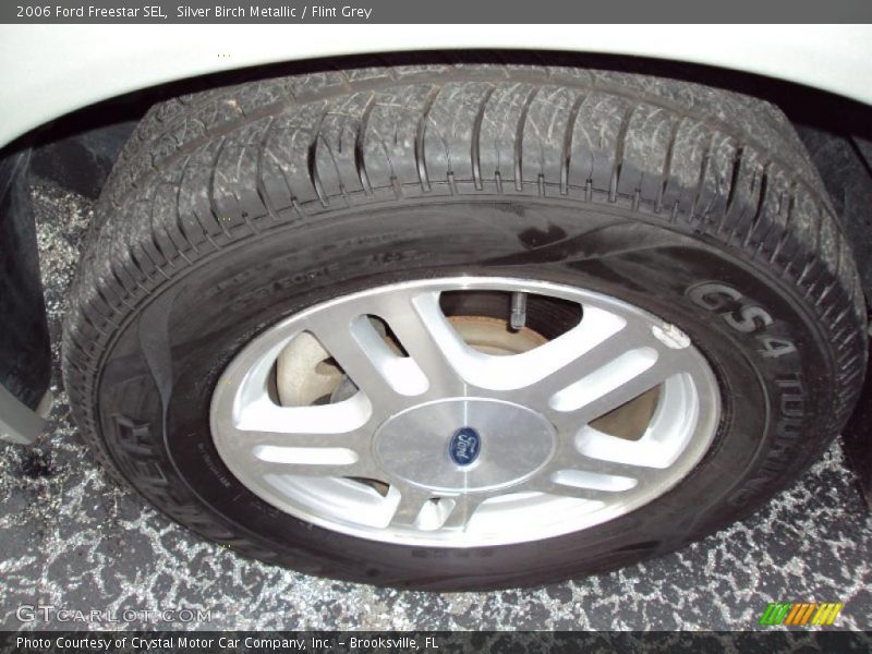 Silver Birch Metallic / Flint Grey 2006 Ford Freestar SEL