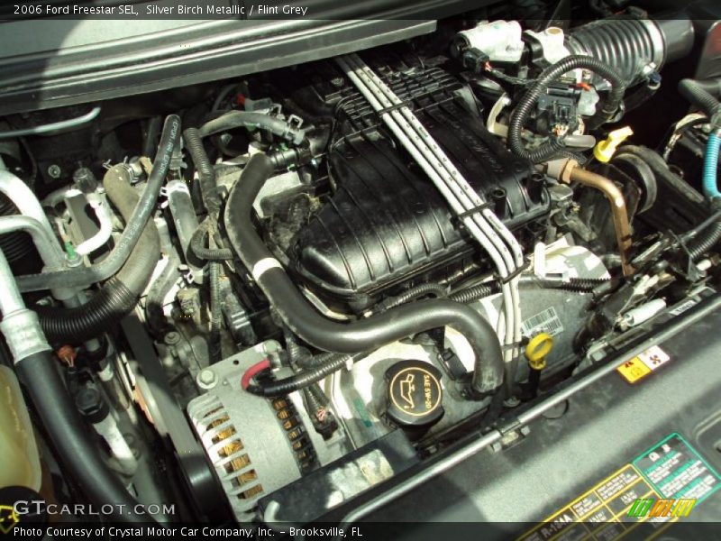 Silver Birch Metallic / Flint Grey 2006 Ford Freestar SEL