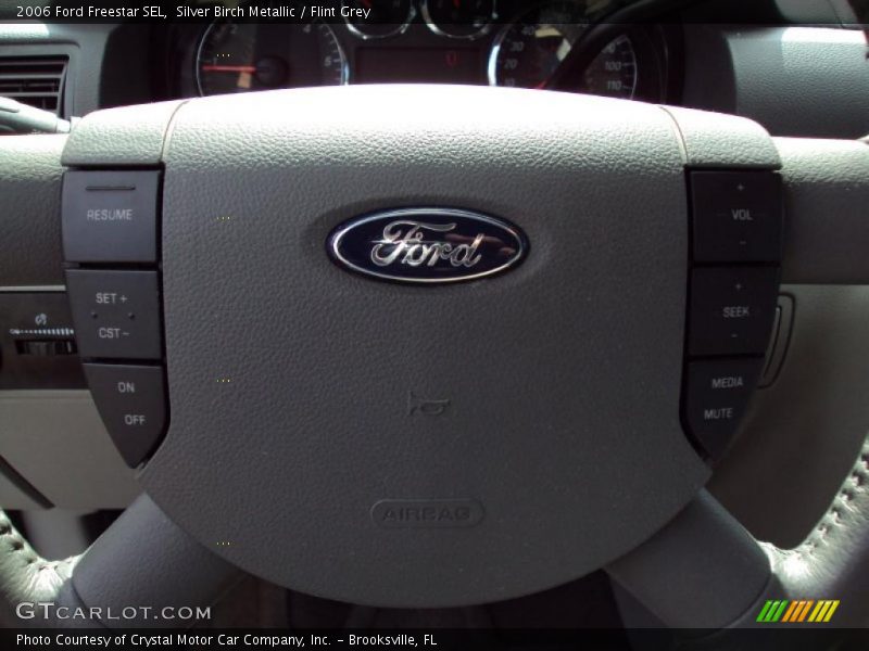 Silver Birch Metallic / Flint Grey 2006 Ford Freestar SEL