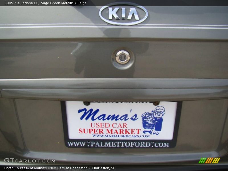 Sage Green Metallic / Beige 2005 Kia Sedona LX