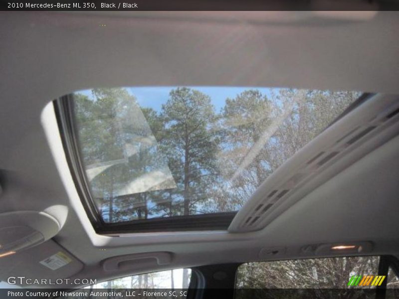 Black / Black 2010 Mercedes-Benz ML 350