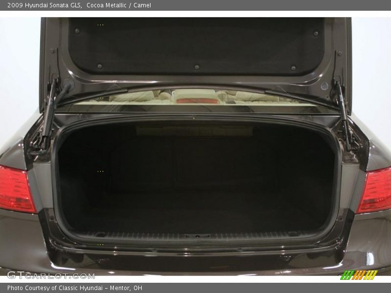 Cocoa Metallic / Camel 2009 Hyundai Sonata GLS