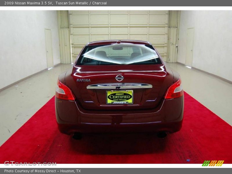 Tuscan Sun Metallic / Charcoal 2009 Nissan Maxima 3.5 SV