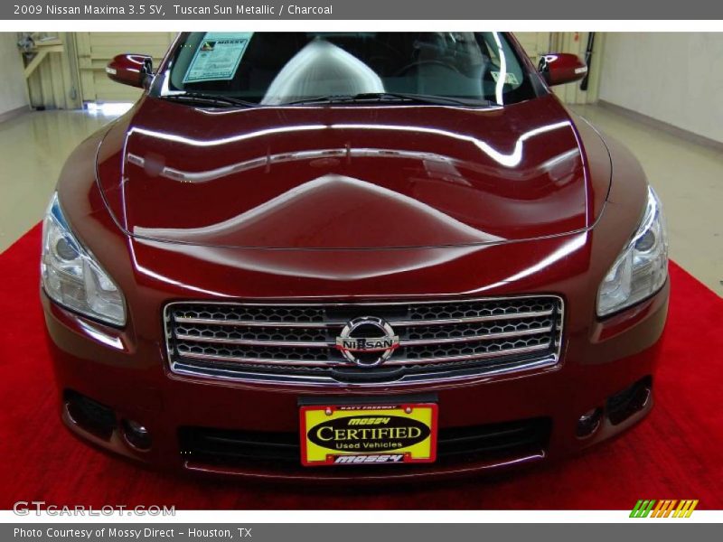 Tuscan Sun Metallic / Charcoal 2009 Nissan Maxima 3.5 SV