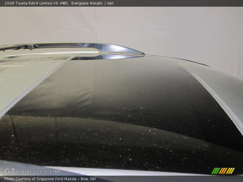 Everglade Metallic / Ash 2008 Toyota RAV4 Limited V6 4WD