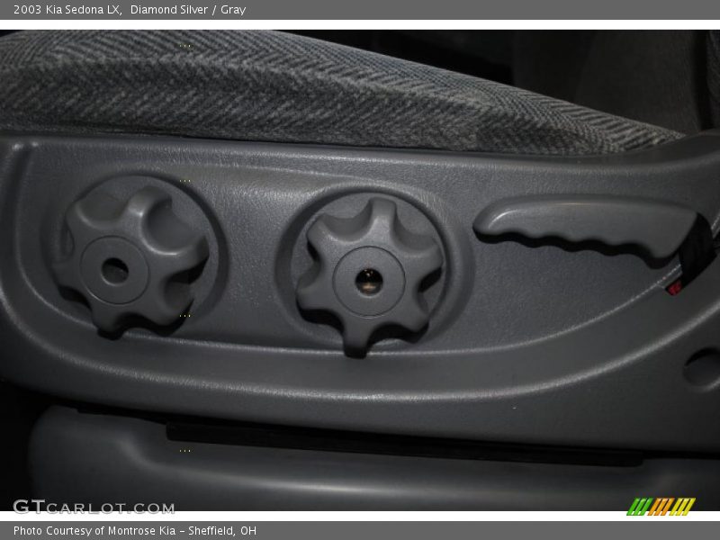 Diamond Silver / Gray 2003 Kia Sedona LX