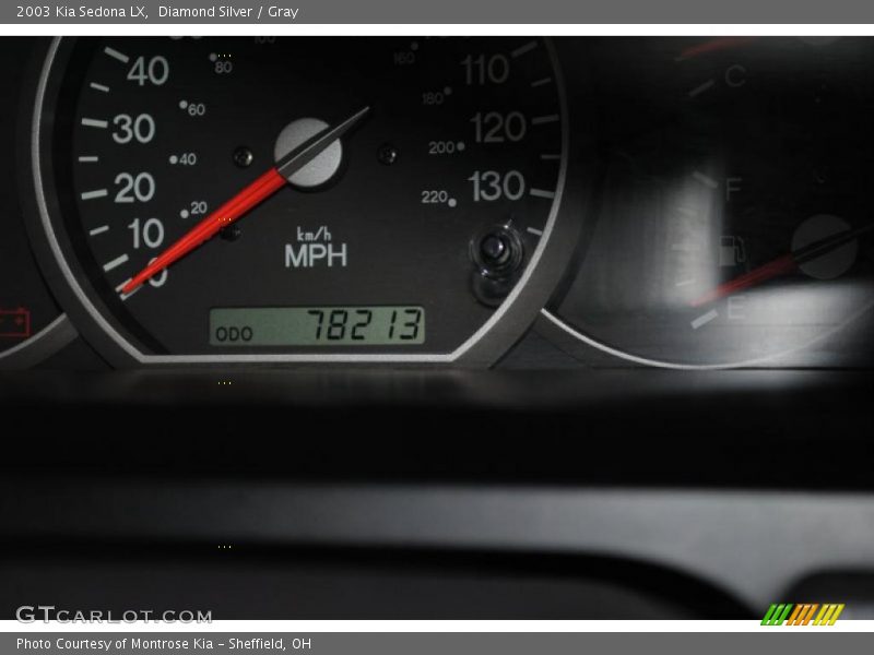 Diamond Silver / Gray 2003 Kia Sedona LX