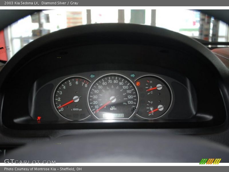 Diamond Silver / Gray 2003 Kia Sedona LX