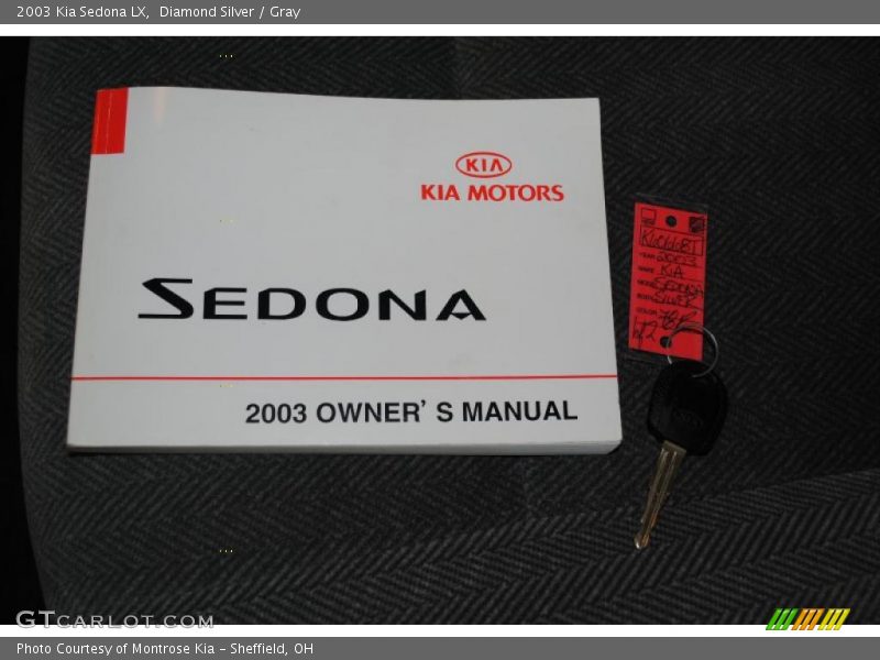 Diamond Silver / Gray 2003 Kia Sedona LX